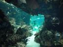 Aquarium Lissabon