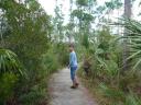 Pineland Trail - Everglades