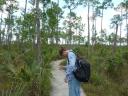 Pineland Trail - Everglades